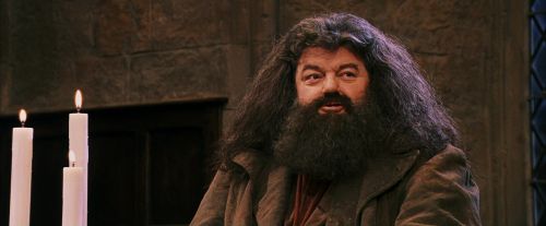 PF-Potterish_12052.jpg
