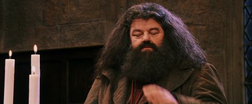 PF-Potterish_12053.jpg