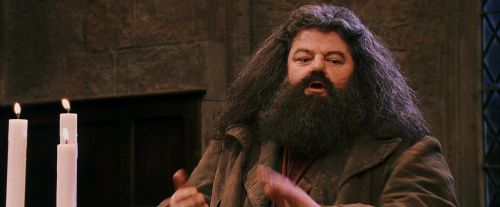 PF-Potterish_12054.jpg