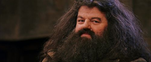 Click to view full size image
==============
PF-Potterish_12086.jpg PF-Potterish_12086.jpg