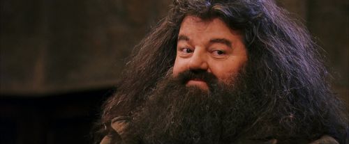 Click to view full size image
==============
PF-Potterish_12087.jpg PF-Potterish_12087.jpg