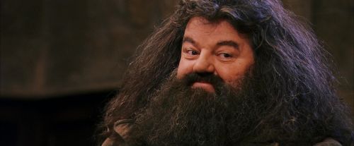 Click to view full size image
==============
PF-Potterish_12088.jpg PF-Potterish_12088.jpg