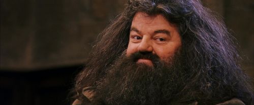 Click to view full size image
==============
PF-Potterish_12089.jpg PF-Potterish_12089.jpg