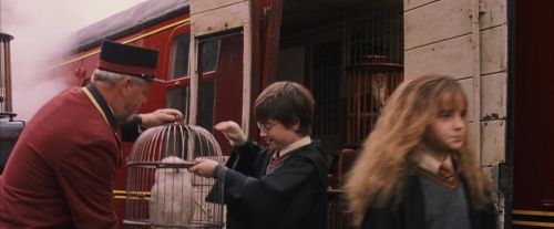 PF-Potterish_12111.jpg