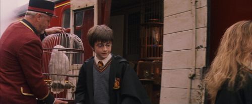 PF-Potterish_12112.jpg