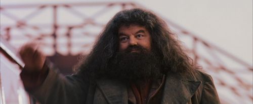 PF-Potterish_12120.jpg