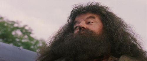 Click to view full size image
==============
PF-Potterish_12128.jpg PF-Potterish_12128.jpg
