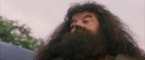 PF-Potterish_12129.jpg