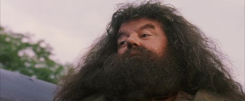 PF-Potterish_12130.jpg