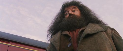 PF-Potterish_12137.jpg