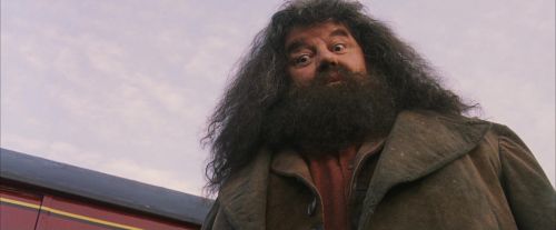 Click to view full size image
==============
PF-Potterish_12138.jpg PF-Potterish_12138.jpg
