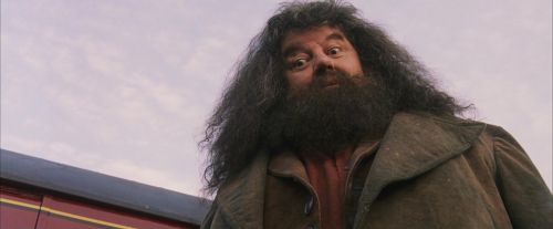 PF-Potterish_12139.jpg