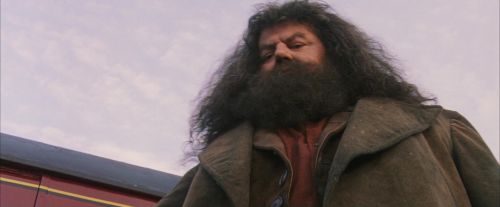 PF-Potterish_12146.jpg
