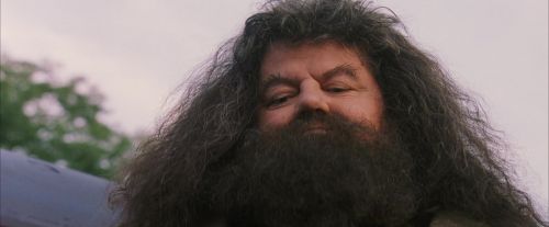 PF-Potterish_12174.jpg