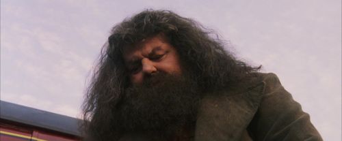 PF-Potterish_12182.jpg