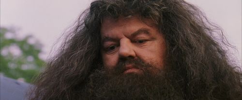 Click to view full size image
==============
PF-Potterish_12199.jpg PF-Potterish_12199.jpg
