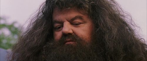 PF-Potterish_12201.jpg