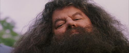 Click to view full size image
==============
PF-Potterish_12221.jpg PF-Potterish_12221.jpg