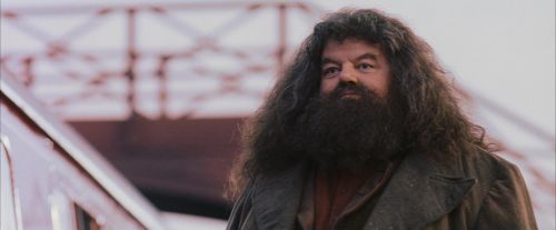 Click to view full size image
==============
PF-Potterish_12241.jpg PF-Potterish_12241.jpg