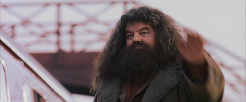 PF-Potterish_12242.jpg