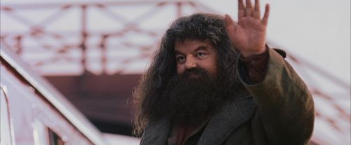 Click to view full size image
==============
PF-Potterish_12243.jpg PF-Potterish_12243.jpg