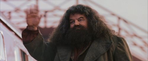 PF-Potterish_12254.jpg