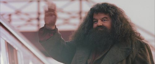 PF-Potterish_12262.jpg