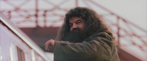 Click to view full size image
==============
PF-Potterish_12266.jpg PF-Potterish_12266.jpg