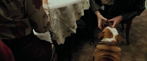 Click to view full size image
==============
PdA-Potterish_0193.jpg PdA-Potterish_0193.jpg