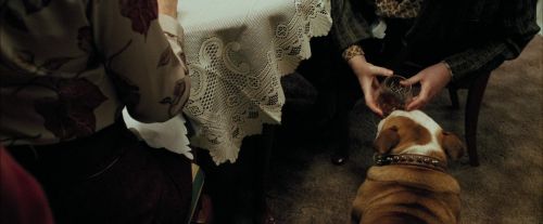 PdA-Potterish_0194.jpg