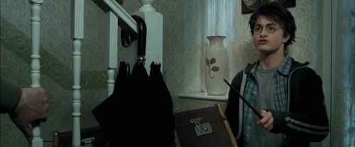 PdA-Potterish_0434.jpg