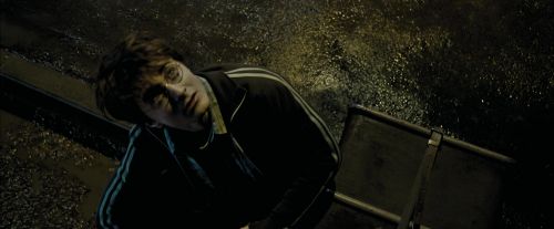 Click to view full size image
==============
PdA-Potterish_0491.jpg PdA-Potterish_0491.jpg