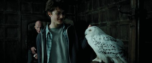 PdA-Potterish_0832.jpg