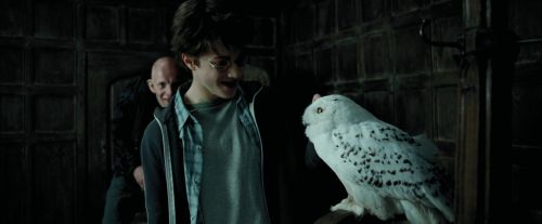 Click to view full size image
==============
PdA-Potterish_0833.jpg PdA-Potterish_0833.jpg
