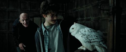 PdA-Potterish_0834.jpg