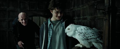 PdA-Potterish_0835.jpg