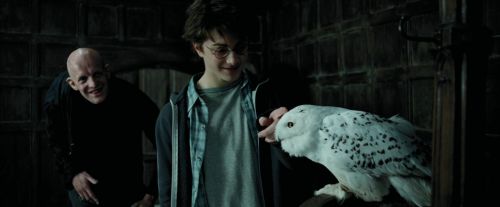 PdA-Potterish_0836.jpg