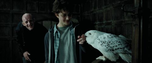 PdA-Potterish_0837.jpg