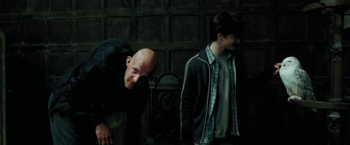 Click to view full size image
==============
PdA-Potterish_0838.jpg PdA-Potterish_0838.jpg