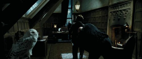 PdA-Potterish_0845.jpg