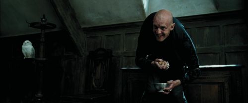 Click to view full size image
==============
PdA-Potterish_0873.jpg PdA-Potterish_0873.jpg
