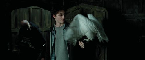 Click to view full size image
==============
PdA-Potterish_0938.jpg PdA-Potterish_0938.jpg