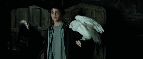 Click to view full size image
==============
PdA-Potterish_0939.jpg PdA-Potterish_0939.jpg