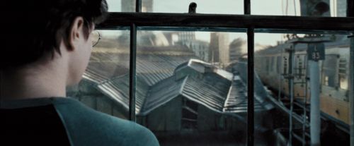 Click to view full size image
==============
PdA-Potterish_0954.jpg PdA-Potterish_0954.jpg