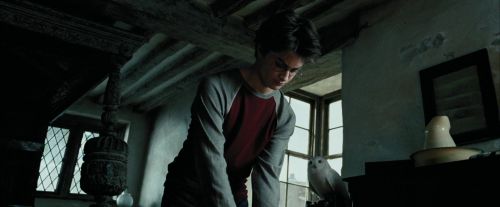 PdA-Potterish_0966.jpg