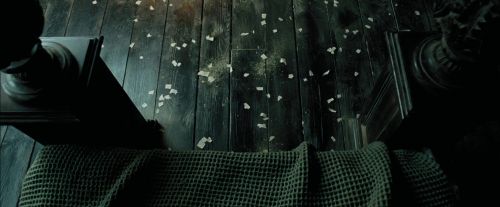 PdA-Potterish_1016.jpg