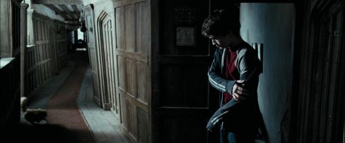 PdA-Potterish_1046.jpg