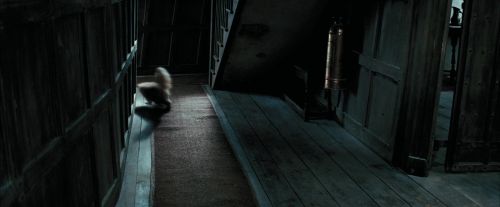 PdA-Potterish_1049.jpg
