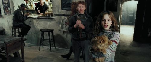 Click to view full size image
==============
PdA-Potterish_1072.jpg PdA-Potterish_1072.jpg