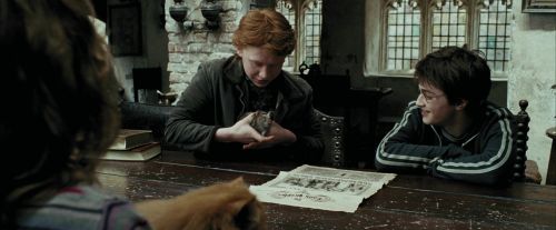 Click to view full size image
==============
PdA-Potterish_1082.jpg PdA-Potterish_1082.jpg